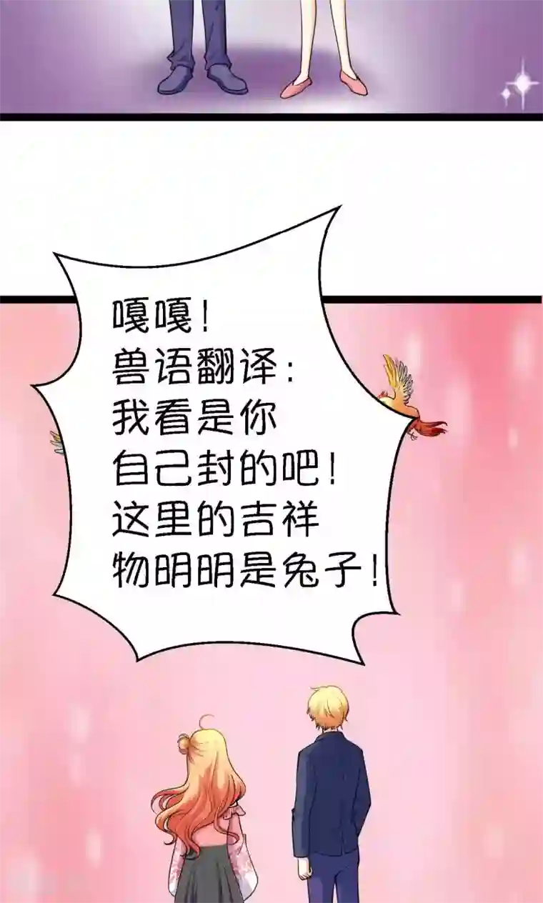 铲屎官也要谈恋爱第31话