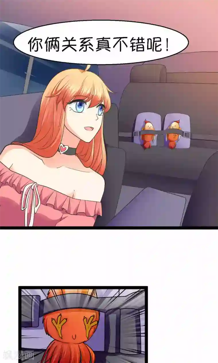 铲屎官也要谈恋爱第32话