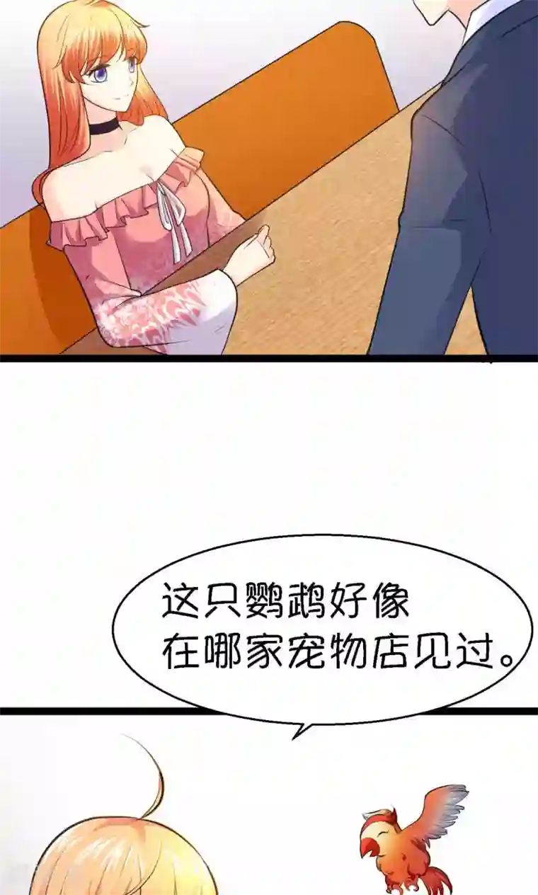 铲屎官也要谈恋爱第32话