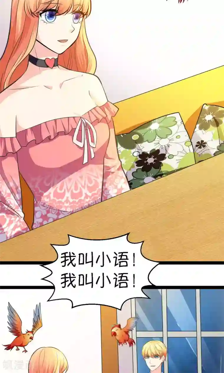 铲屎官也要谈恋爱第32话