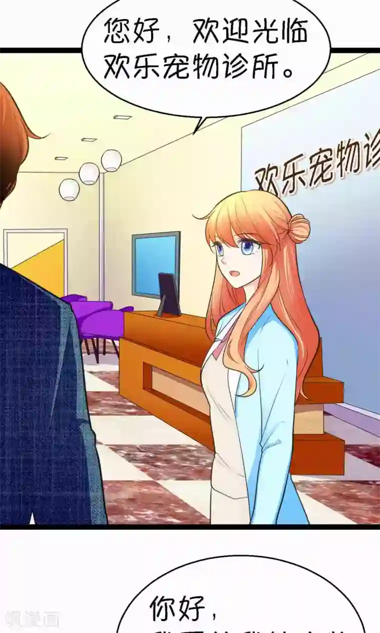 铲屎官也要谈恋爱第33话