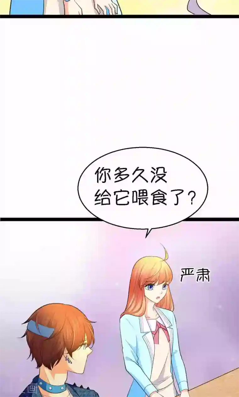 铲屎官也要谈恋爱第33话