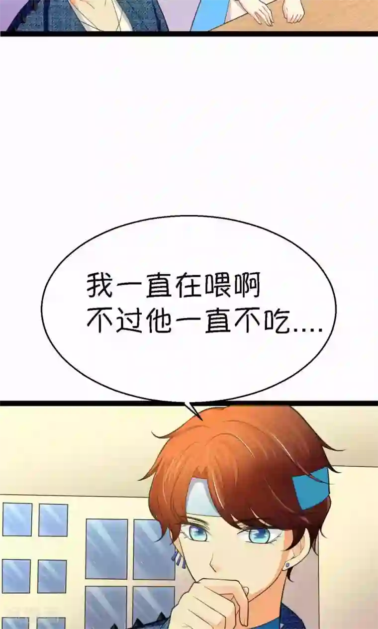 铲屎官也要谈恋爱第33话