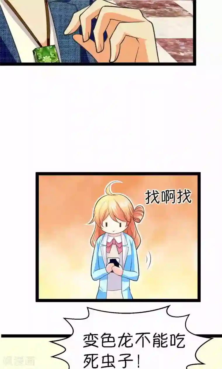 铲屎官也要谈恋爱第33话