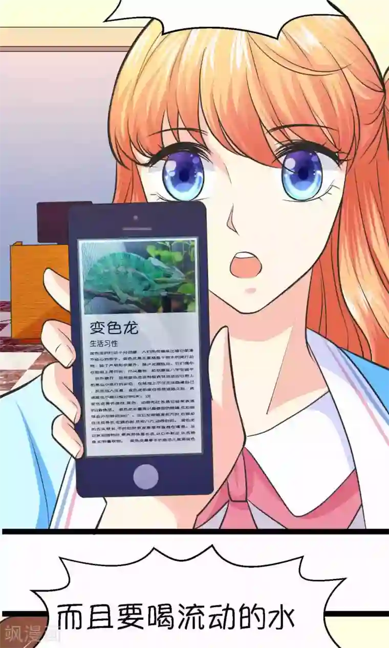 铲屎官也要谈恋爱第33话