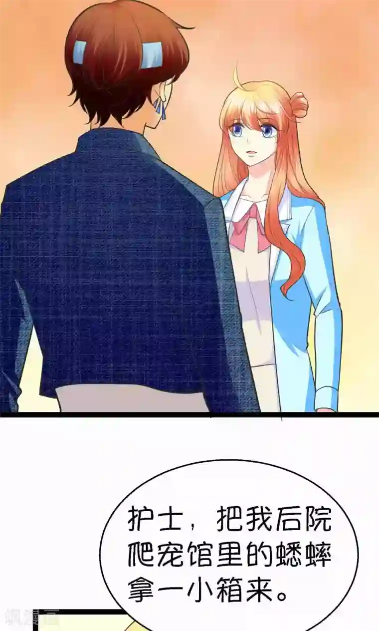 铲屎官也要谈恋爱第33话