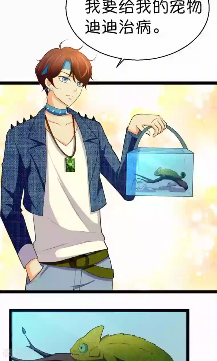 铲屎官也要谈恋爱第33话