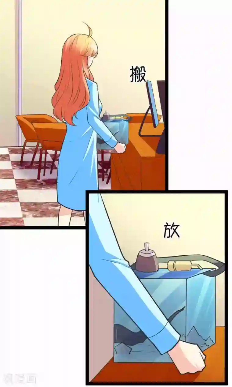 铲屎官也要谈恋爱第33话