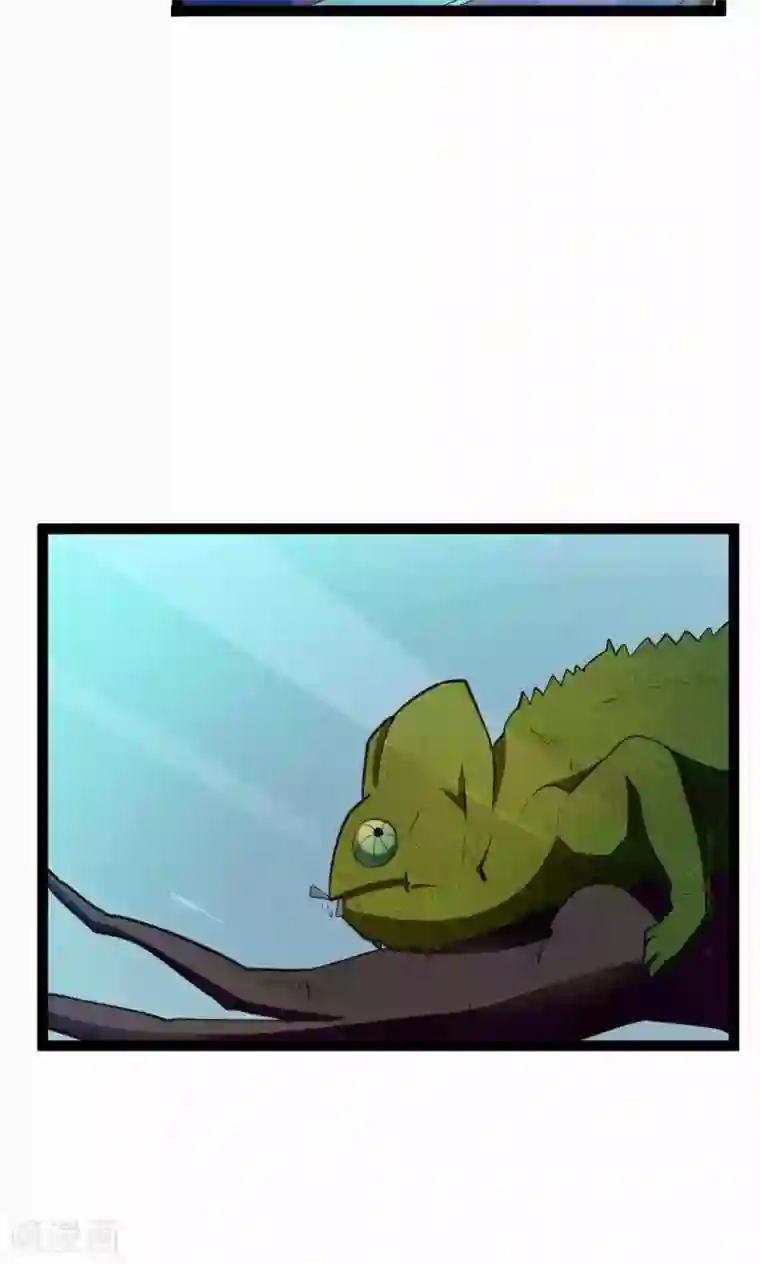 铲屎官也要谈恋爱第33话