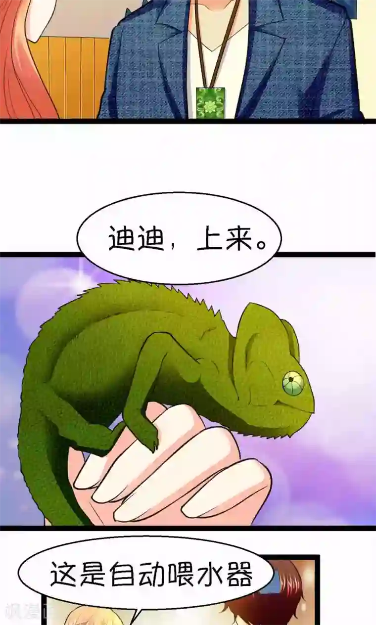 铲屎官也要谈恋爱第33话