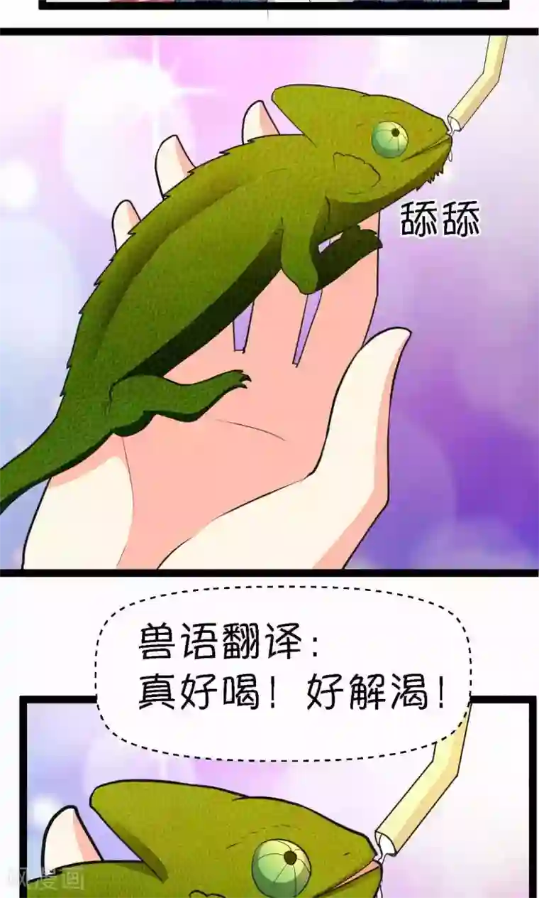 铲屎官也要谈恋爱第33话