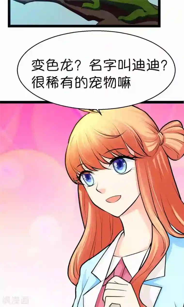 铲屎官也要谈恋爱第33话