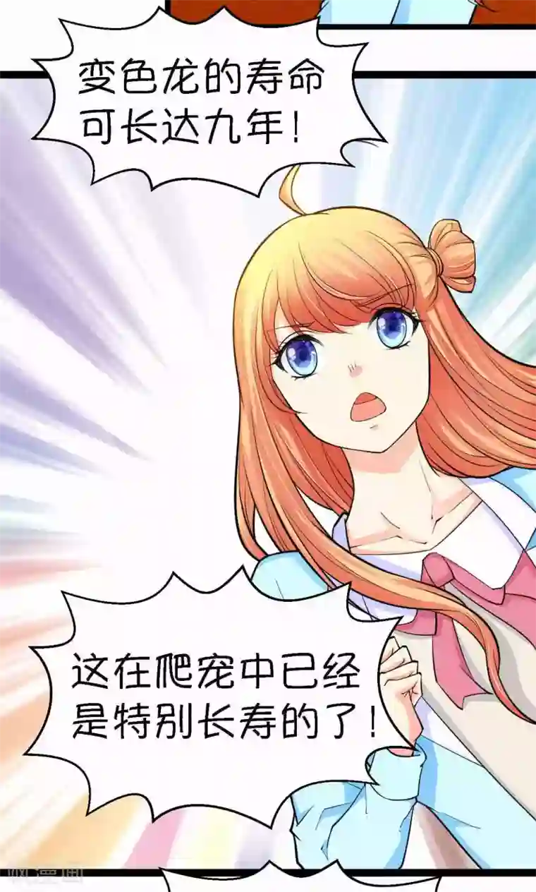 铲屎官也要谈恋爱第33话