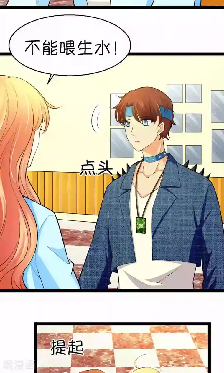 铲屎官也要谈恋爱第33话