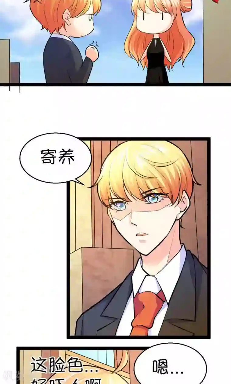 铲屎官也要谈恋爱第34话