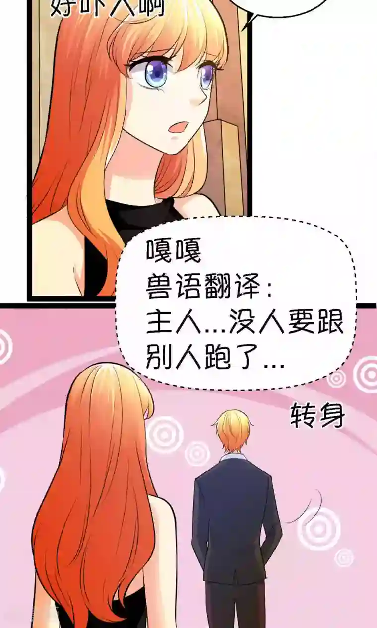 铲屎官也要谈恋爱第34话