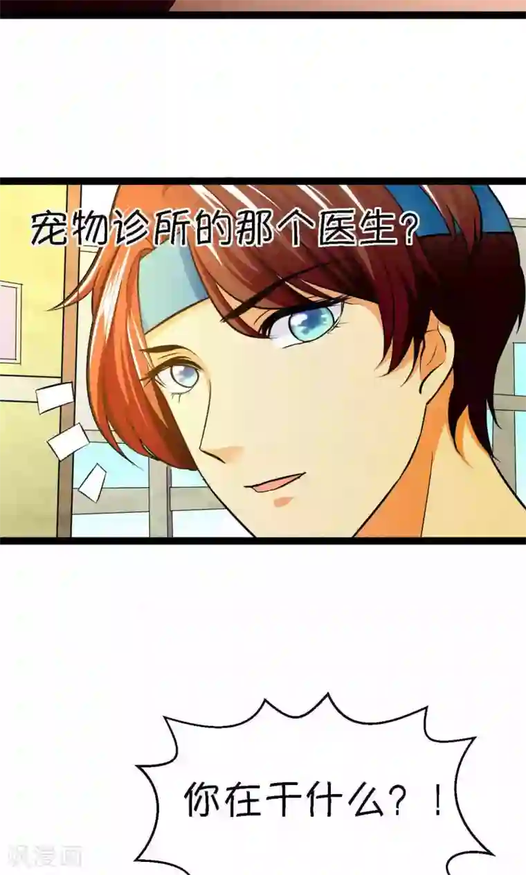 铲屎官也要谈恋爱第34话