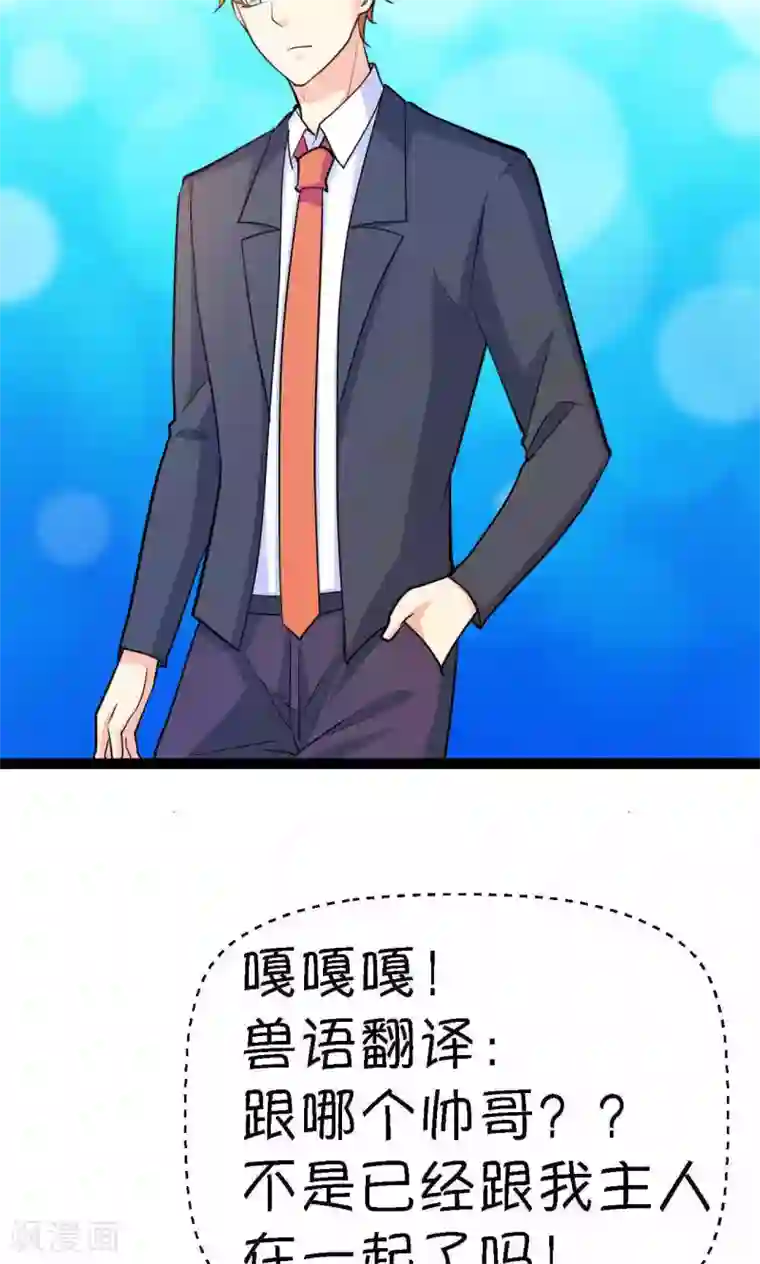 铲屎官也要谈恋爱第34话