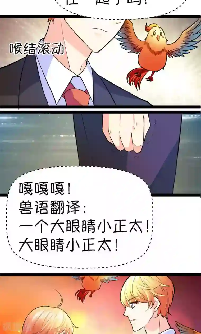 铲屎官也要谈恋爱第34话