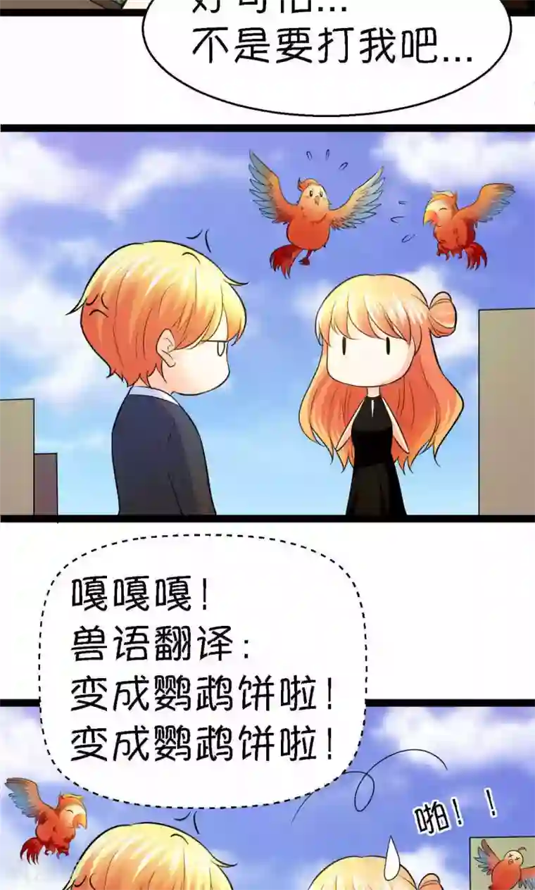 铲屎官也要谈恋爱第34话