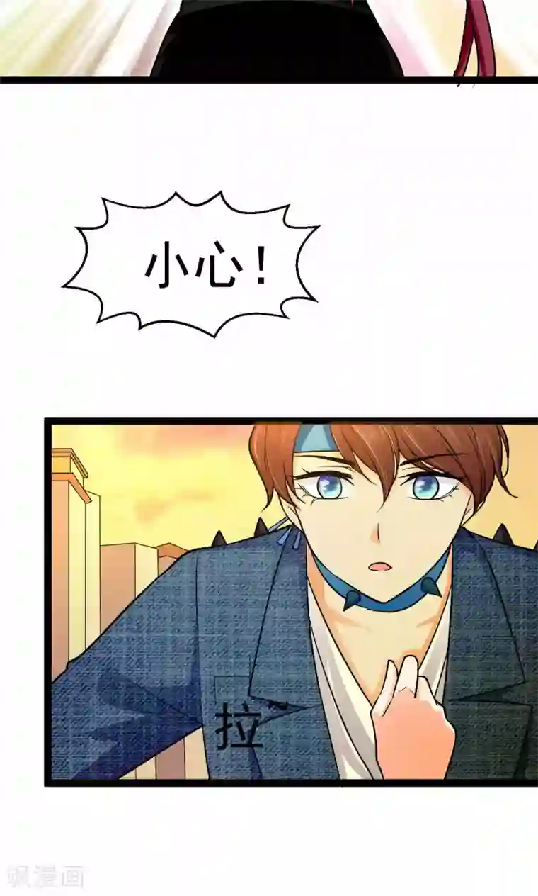 铲屎官也要谈恋爱第35话