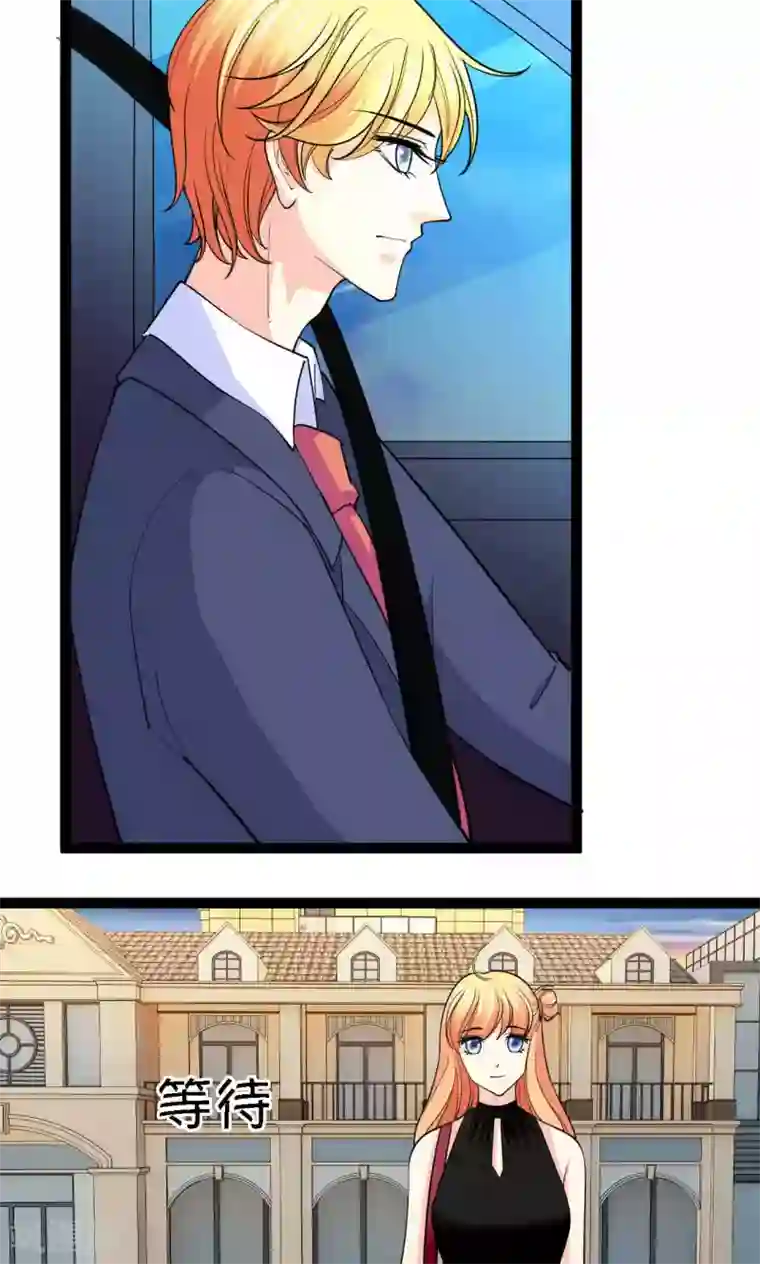 铲屎官也要谈恋爱第36话