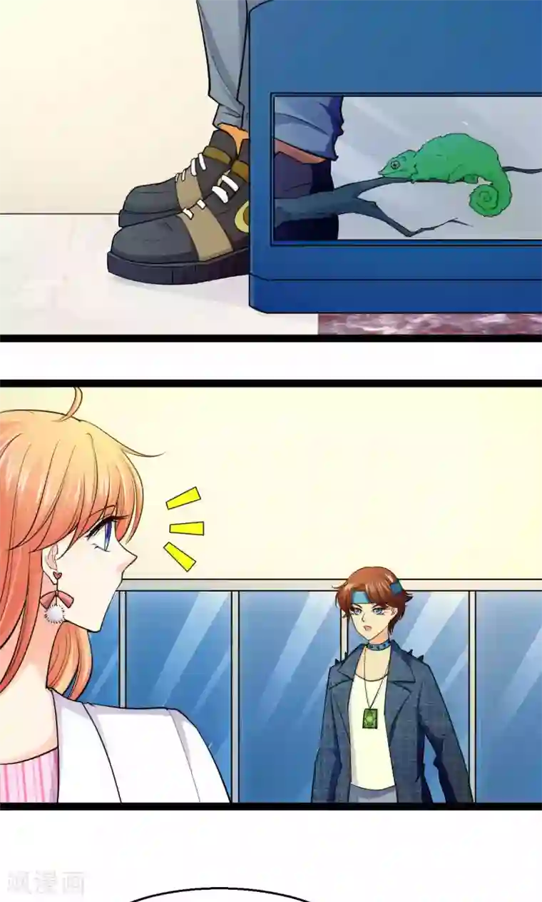 铲屎官也要谈恋爱第37话