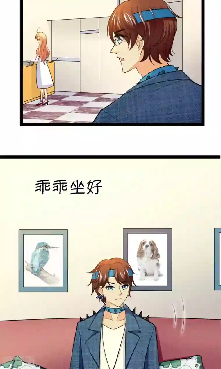 铲屎官也要谈恋爱第37话