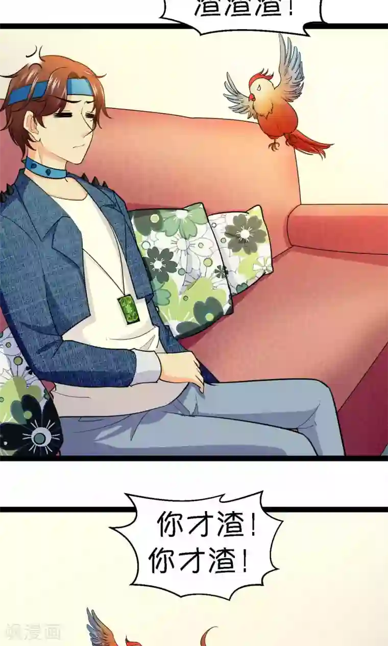 铲屎官也要谈恋爱第37话