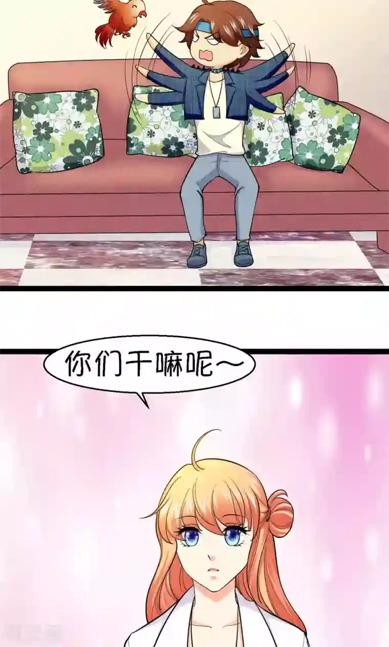 铲屎官也要谈恋爱第37话