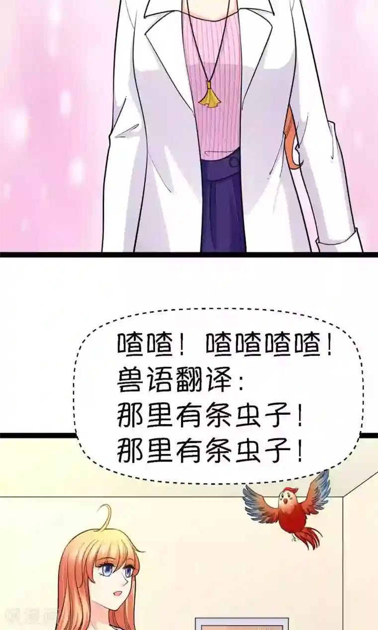 铲屎官也要谈恋爱第37话