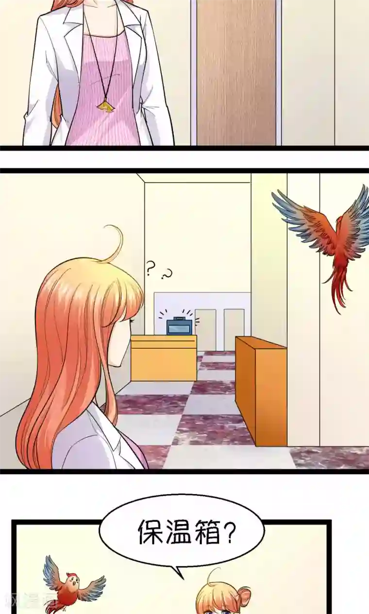 铲屎官也要谈恋爱第37话