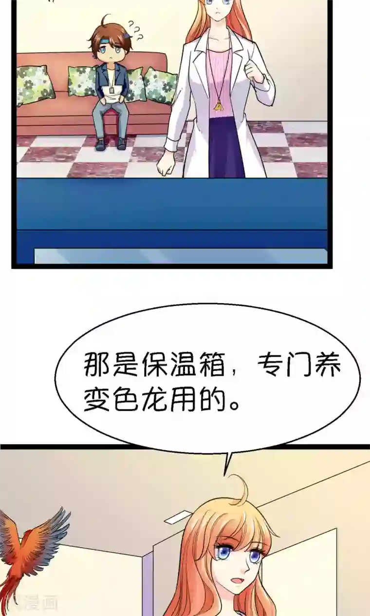 铲屎官也要谈恋爱第37话