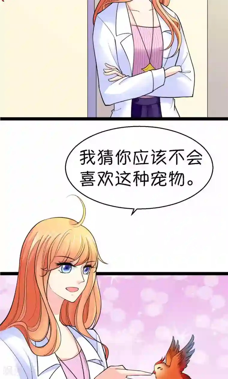 铲屎官也要谈恋爱第37话