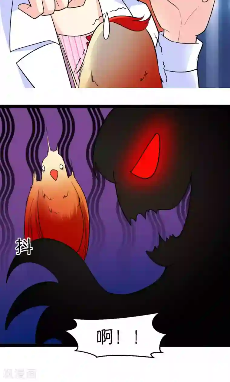 铲屎官也要谈恋爱第37话