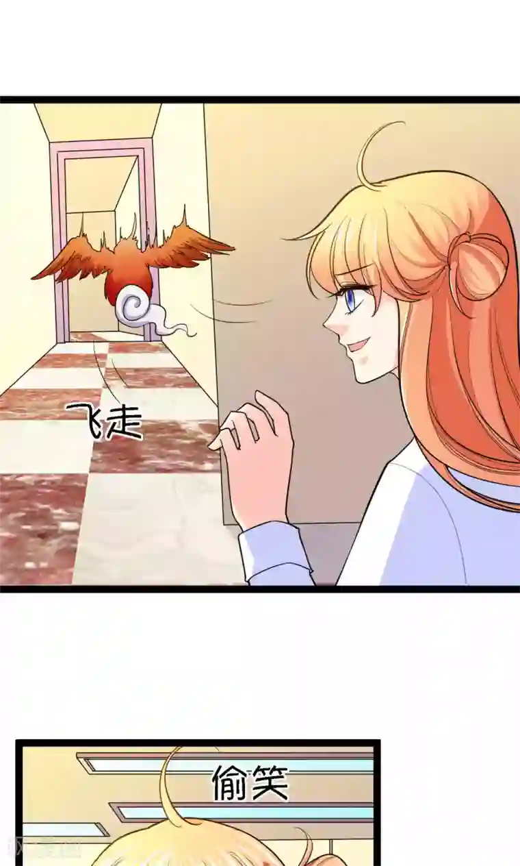 铲屎官也要谈恋爱第37话