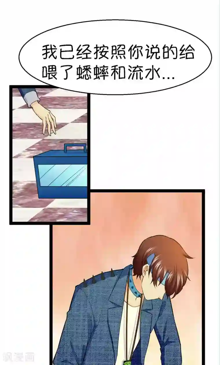 铲屎官也要谈恋爱第37话