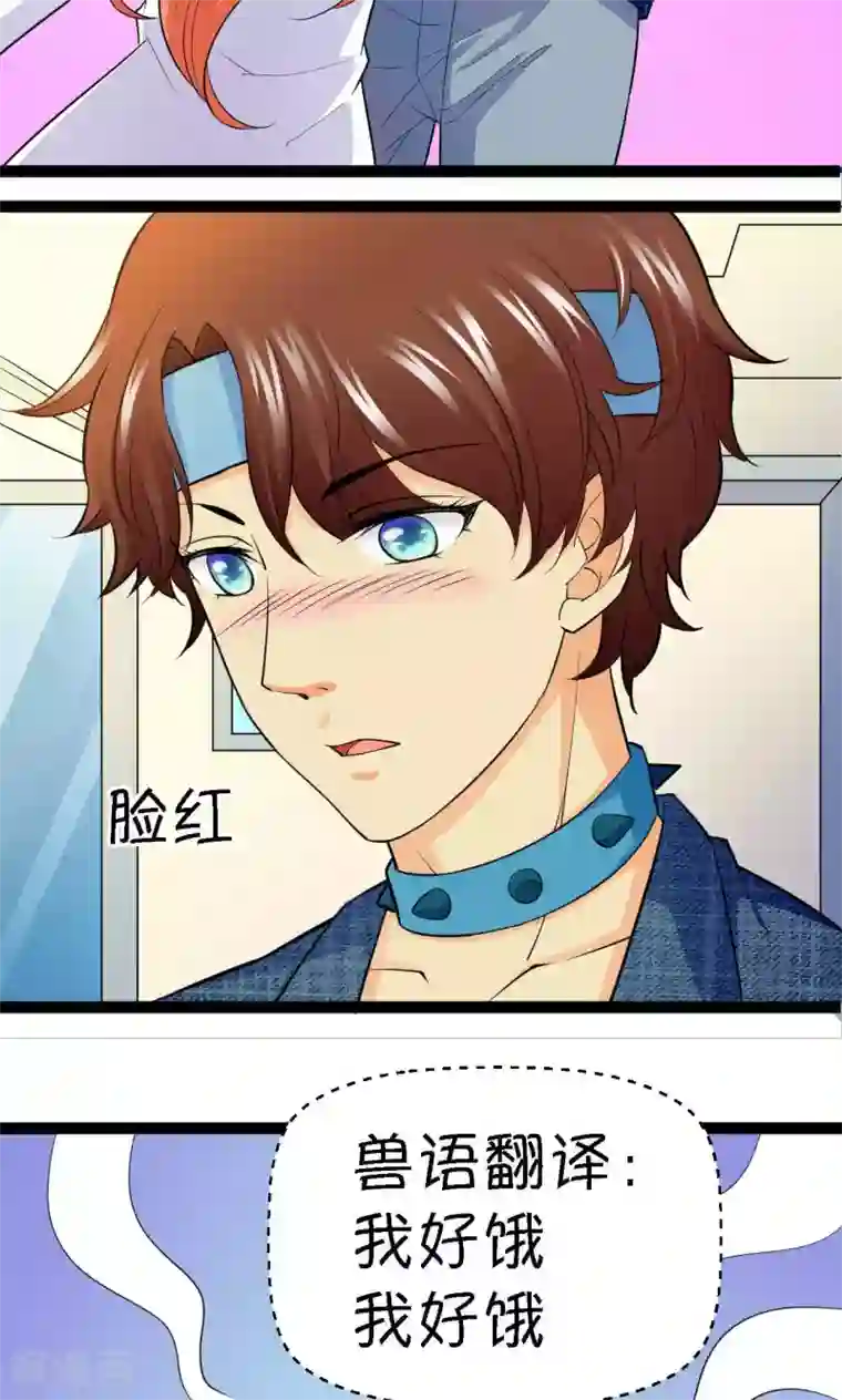 铲屎官也要谈恋爱第37话