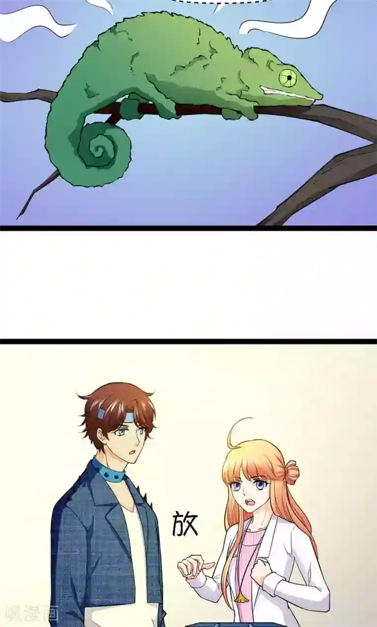 铲屎官也要谈恋爱第37话