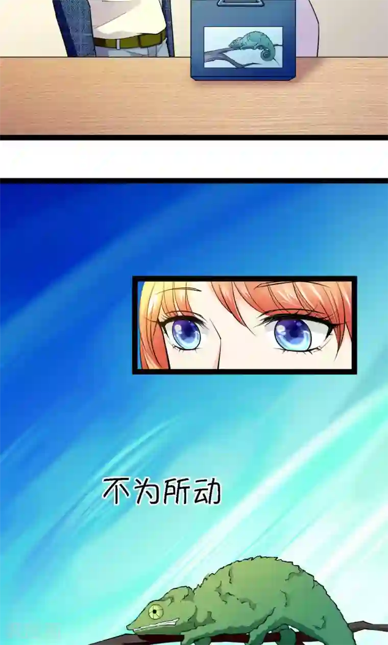 铲屎官也要谈恋爱第37话