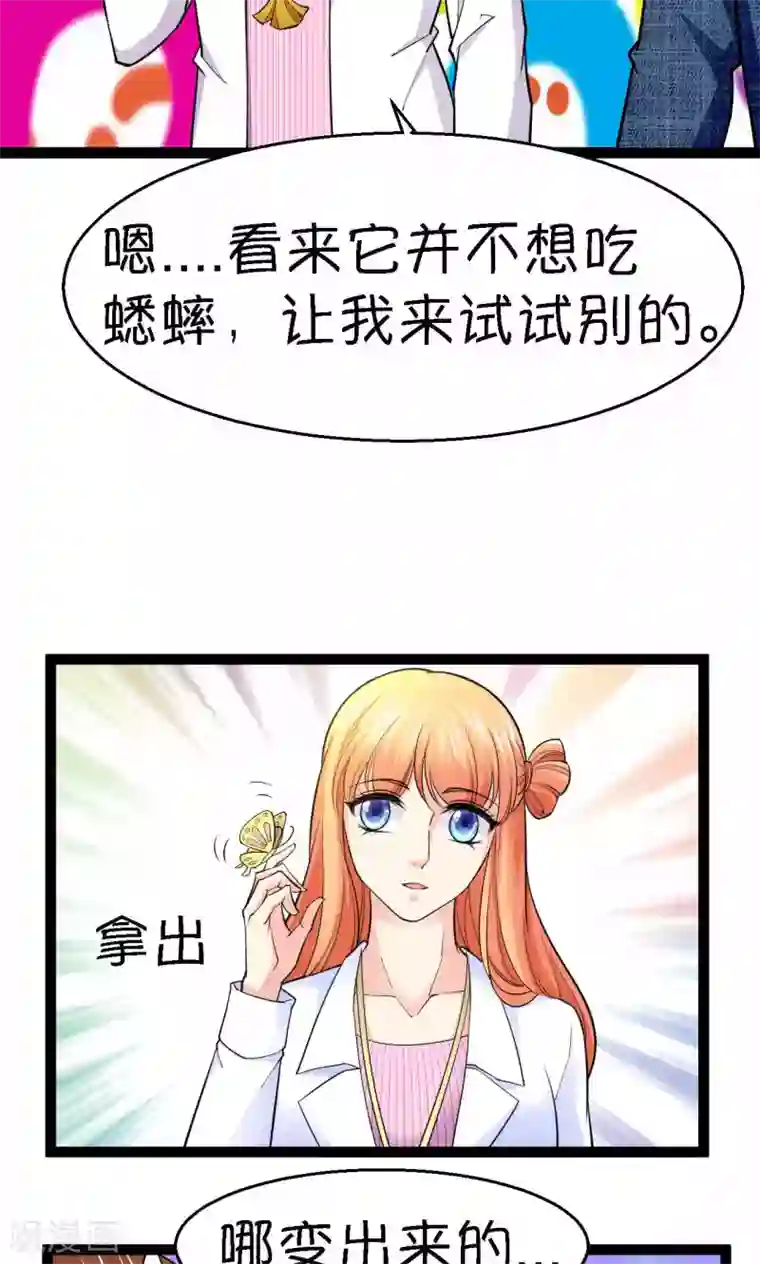 铲屎官也要谈恋爱第37话