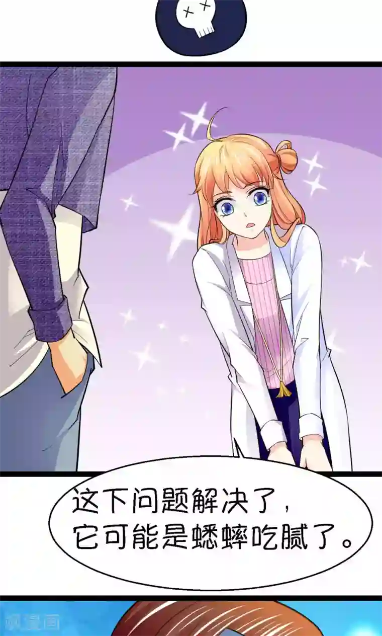 铲屎官也要谈恋爱第37话