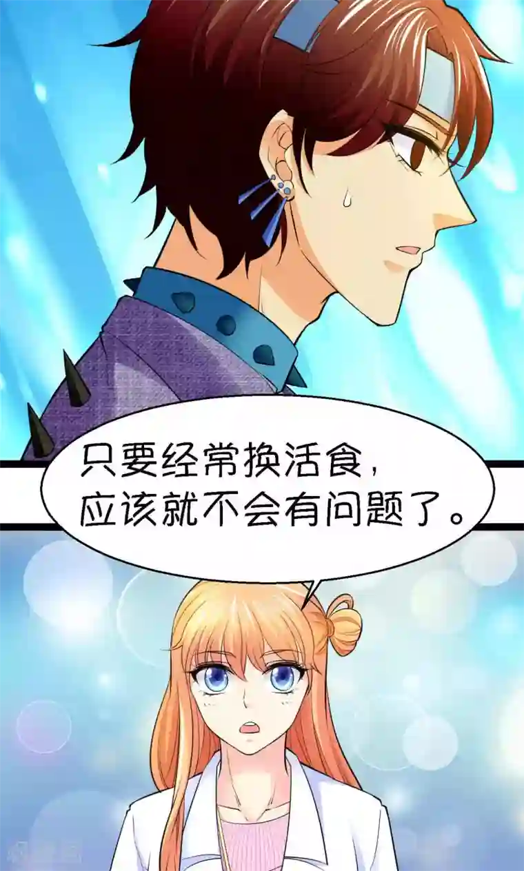 铲屎官也要谈恋爱第37话