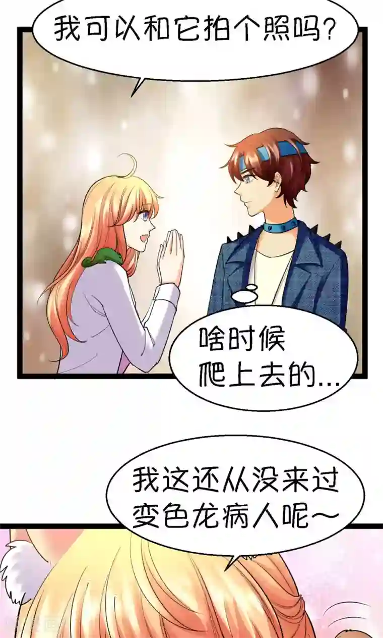 铲屎官也要谈恋爱第38话