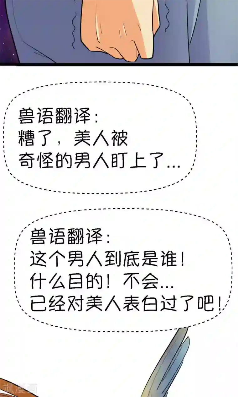 铲屎官也要谈恋爱第38话