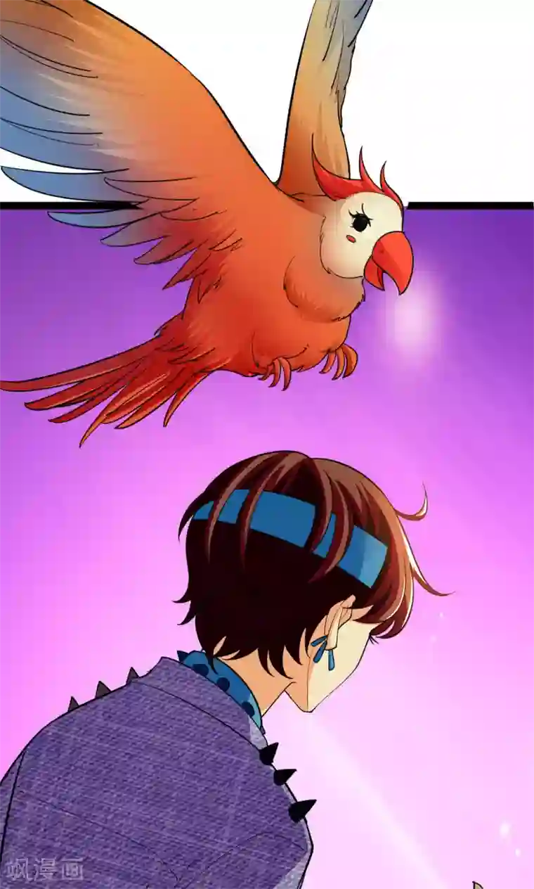 铲屎官也要谈恋爱第38话