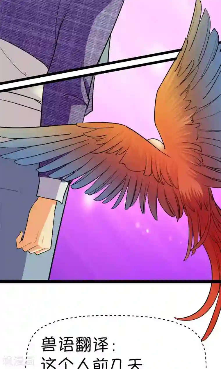 铲屎官也要谈恋爱第38话