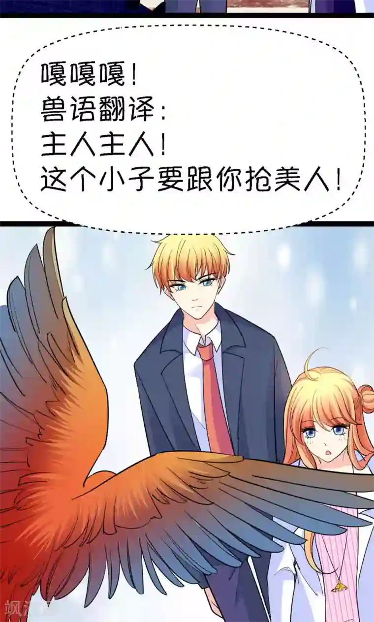 铲屎官也要谈恋爱第38话