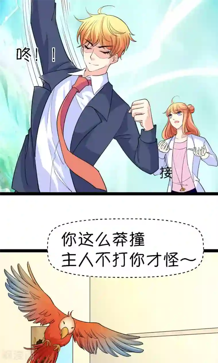 铲屎官也要谈恋爱第38话