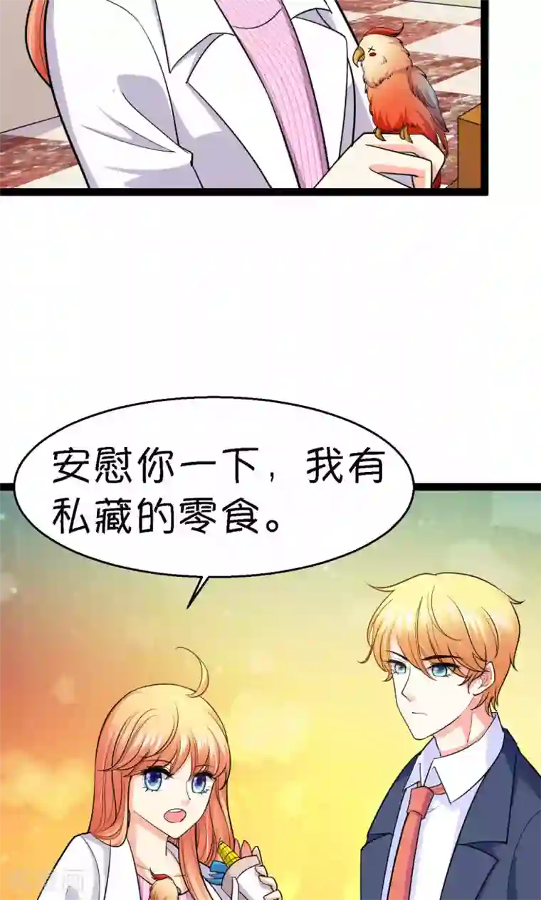 铲屎官也要谈恋爱第38话